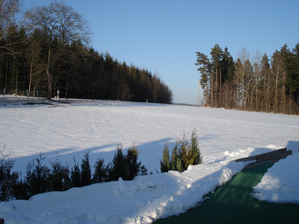 Appartamento Haus Steinwaldblick Bernlohe  Esterno foto